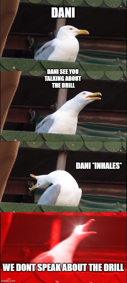 Inhaling Seagull | DANI; DANI SEE YOU 
TALKING ABOUT 
THE DRILL; DANI *INHALES*; WE DONT SPEAK ABOUT THE DRILL | image tagged in memes,inhaling seagull | made w/ Imgflip meme maker