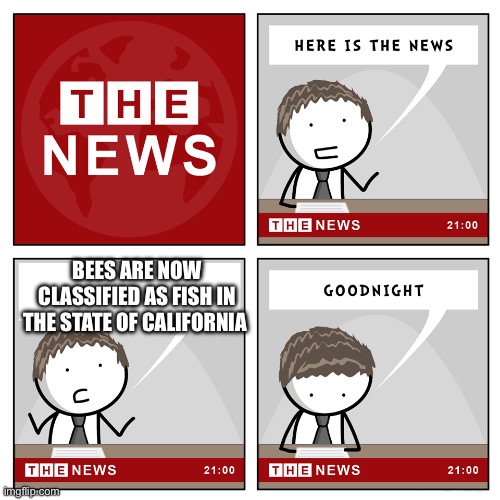 No, Really This is True | BEES ARE NOW CLASSIFIED AS FISH IN THE STATE OF CALIFORNIA | image tagged in the news | made w/ Imgflip meme maker