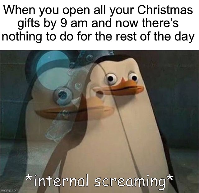 Except using them | When you open all your Christmas gifts by 9 am and now there’s nothing to do for the rest of the day | image tagged in private internal screaming,memes,funny,true story,christmas,relatable memes | made w/ Imgflip meme maker