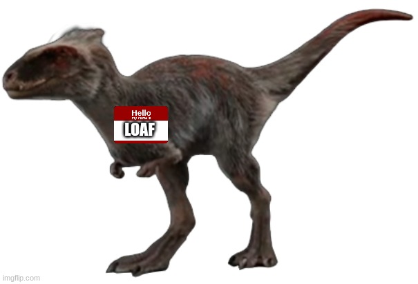 Meet Loaf | LOAF | image tagged in moros 2 | made w/ Imgflip meme maker