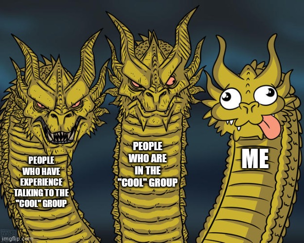 When you try to talk to that "popular" group at school | PEOPLE WHO ARE IN THE "COOL" GROUP; ME; PEOPLE WHO HAVE EXPERIENCE TALKING TO THE "COOL" GROUP | image tagged in three-headed dragon | made w/ Imgflip meme maker