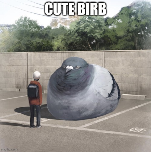 Beeg Birb | CUTE BIRB | image tagged in beeg birb | made w/ Imgflip meme maker