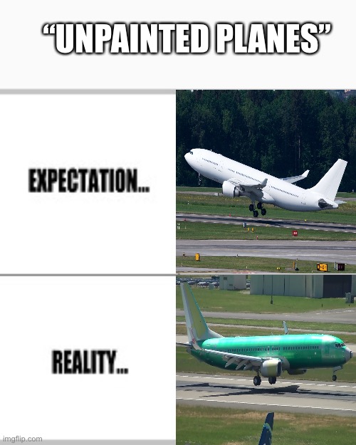 Confusion | “UNPAINTED PLANES” | image tagged in expectation vs reality,planes,aviation,funny | made w/ Imgflip meme maker