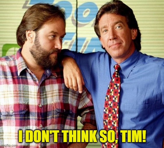 I don't think so Tim | I DON'T THINK SO, TIM! | image tagged in i don't think so tim | made w/ Imgflip meme maker