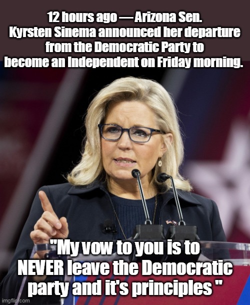 Bitch gave even Rino's a bad name | 12 hours ago — Arizona Sen. Kyrsten Sinema announced her departure from the Democratic Party to become an Independent on Friday morning. "My vow to you is to NEVER leave the Democratic party and it's principles " | image tagged in chenney sinema | made w/ Imgflip meme maker