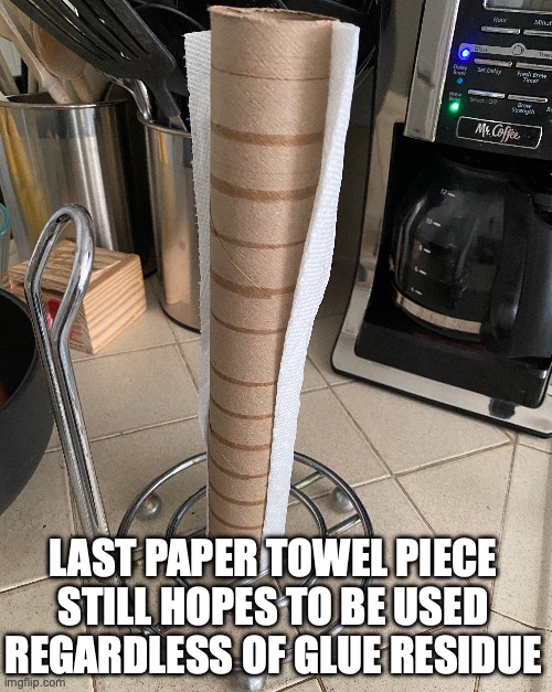 Last Paper Towel | LAST PAPER TOWEL PIECE STILL HOPES TO BE USED REGARDLESS OF GLUE RESIDUE | image tagged in funny,kitchen,humor,dumb,paper towels,love | made w/ Imgflip meme maker