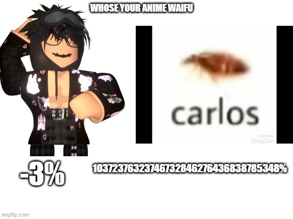 carlos is a god | WHOSE YOUR ANIME WAIFU; 10372376323746732846276436838785348%; -3% | image tagged in kill all furrys | made w/ Imgflip meme maker