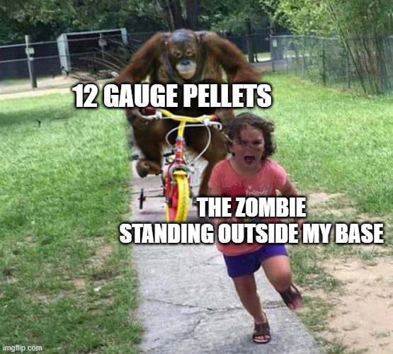 Run! | 12 GAUGE PELLETS; THE ZOMBIE STANDING OUTSIDE MY BASE | image tagged in run | made w/ Imgflip meme maker
