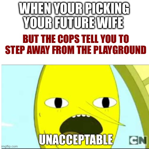 Not acceptable | WHEN YOUR PICKING YOUR FUTURE WIFE; BUT THE COPS TELL YOU TO STEP AWAY FROM THE PLAYGROUND | made w/ Imgflip meme maker