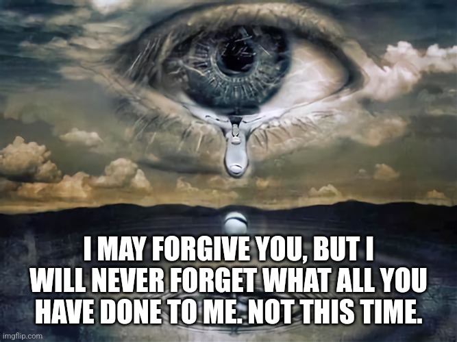 Too Late to 4give This Time | I MAY FORGIVE YOU, BUT I WILL NEVER FORGET WHAT ALL YOU HAVE DONE TO ME. NOT THIS TIME. | image tagged in unforg | made w/ Imgflip meme maker