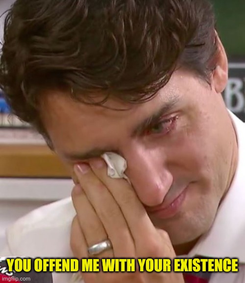 Justin Trudeau Crying | YOU OFFEND ME WITH YOUR EXISTENCE | image tagged in justin trudeau crying | made w/ Imgflip meme maker