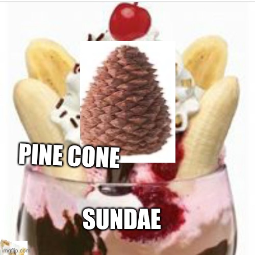 ice cream sundae  | PINE CONE; SUNDAE | image tagged in ice cream sundae | made w/ Imgflip meme maker