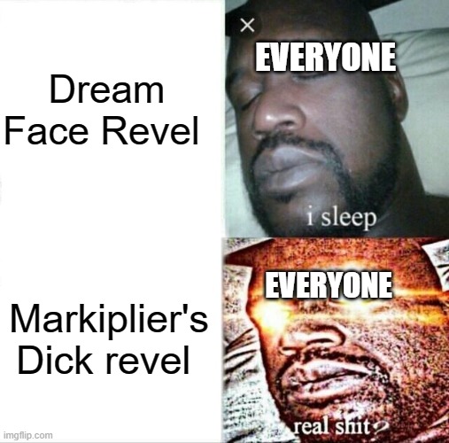 True | EVERYONE; Dream Face Revel; EVERYONE; Markiplier's Dick revel | image tagged in memes,sleeping shaq | made w/ Imgflip meme maker