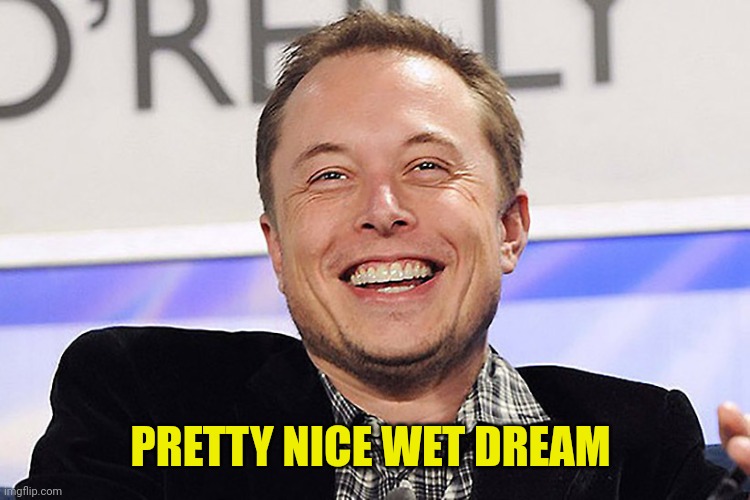 Elon musk | PRETTY NICE WET DREAM | image tagged in elon musk | made w/ Imgflip meme maker