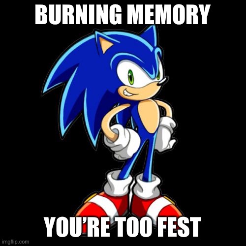 You're Too Slow Sonic Meme | BURNING MEMORY; YOU’RE TOO FEST | image tagged in memes,you're too slow sonic | made w/ Imgflip meme maker
