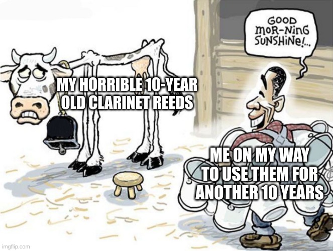 milking the cow | MY HORRIBLE 10-YEAR OLD CLARINET REEDS; ME ON MY WAY TO USE THEM FOR ANOTHER 10 YEARS | image tagged in milking the cow | made w/ Imgflip meme maker