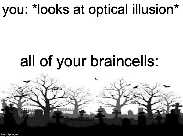 optical illusion truth | you: *looks at optical illusion*; all of your braincells: | image tagged in blank white template | made w/ Imgflip meme maker