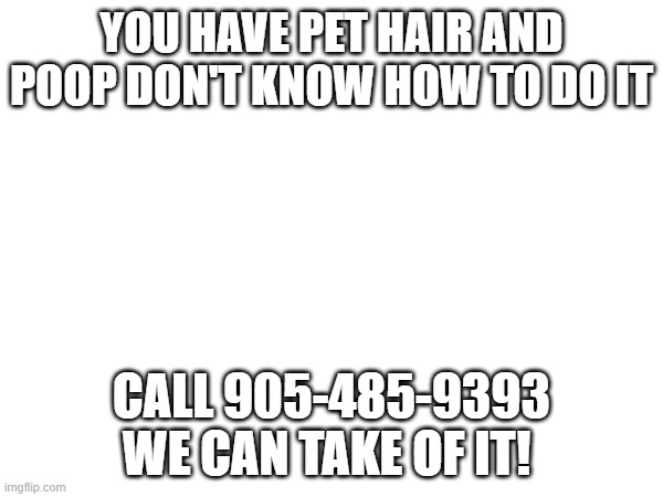 YOU HAVE PET HAIR AND POOP DON'T KNOW HOW TO DO IT; CALL 905-485-9393 WE CAN TAKE OF IT! | made w/ Imgflip meme maker