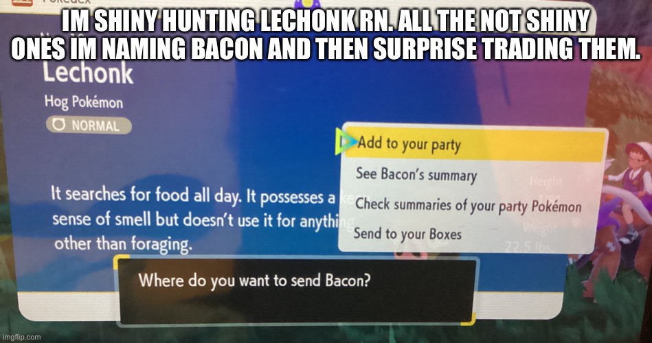 Image title | IM SHINY HUNTING LECHONK RN. ALL THE NOT SHINY ONES IM NAMING BACON AND THEN SURPRISE TRADING THEM. | image tagged in image tags | made w/ Imgflip meme maker