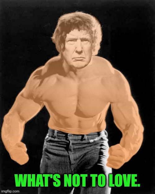 Hulk Trump | WHAT'S NOT TO LOVE. | image tagged in hulk trump | made w/ Imgflip meme maker