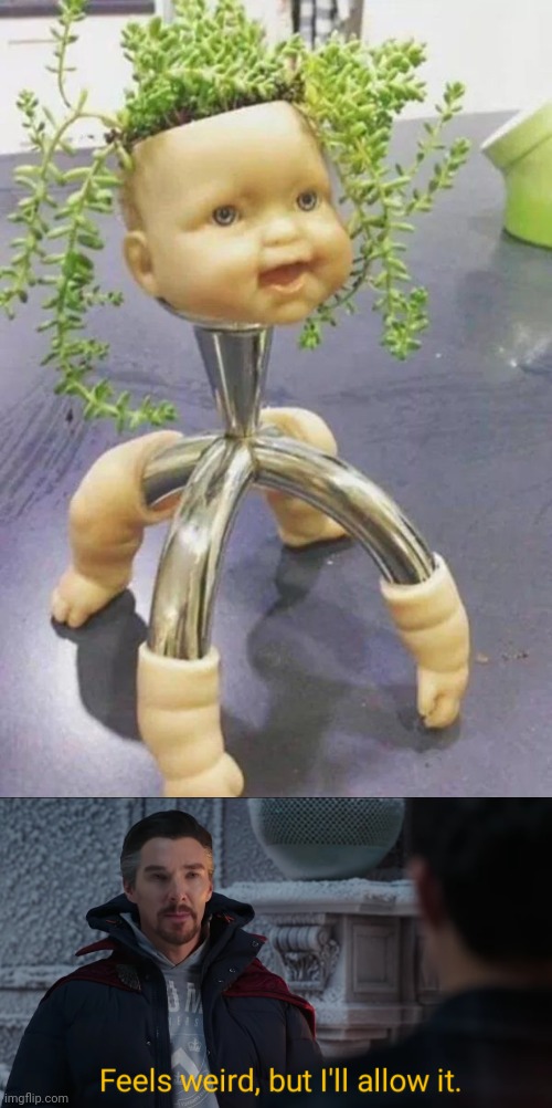 Cursed plant | image tagged in feels weird but i'll allow it,cursed image,baby,plant,memes,cursed | made w/ Imgflip meme maker