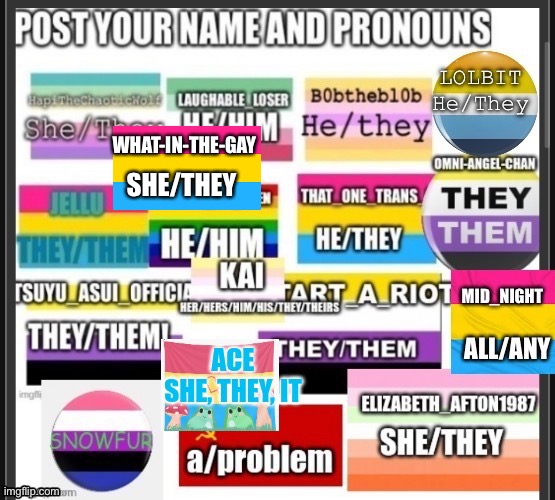 Add your name and pronouns! | WHAT-IN-THE-GAY; SHE/THEY | image tagged in gay | made w/ Imgflip meme maker