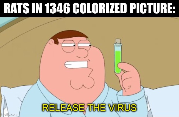 I’m a smart person | RATS IN 1346 COLORIZED PICTURE:; RELEASE THE VIRUS | image tagged in plague,family guy,memes,history,black plague | made w/ Imgflip meme maker