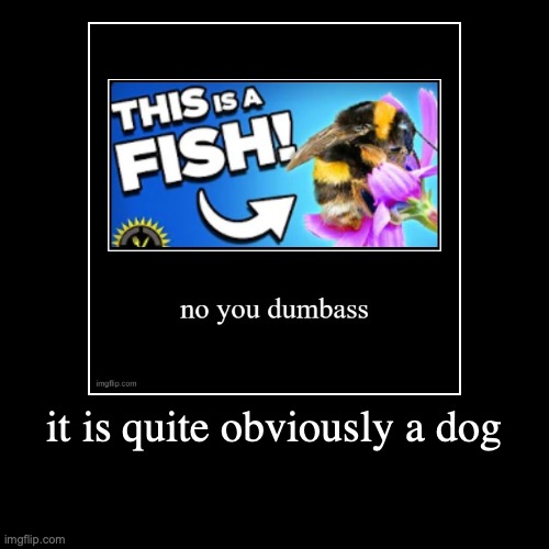 image tagged in funny,demotivationals | made w/ Imgflip demotivational maker