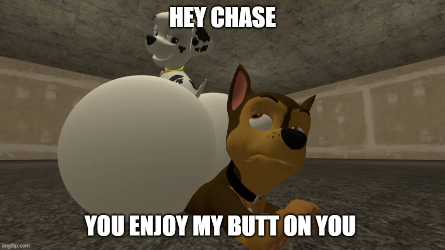 Paw booty |  HEY CHASE; YOU ENJOY MY BUTT ON YOU | image tagged in butt,paw patrol | made w/ Imgflip meme maker