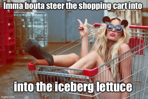 Titanic | Imma bouta steer the shopping cart into; into the iceberg lettuce | image tagged in girl-shopping-cart-1,titanic,shopping cart | made w/ Imgflip meme maker
