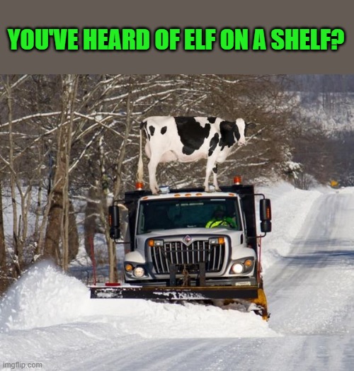 YOU'VE HEARD OF ELF ON A SHELF? | made w/ Imgflip meme maker