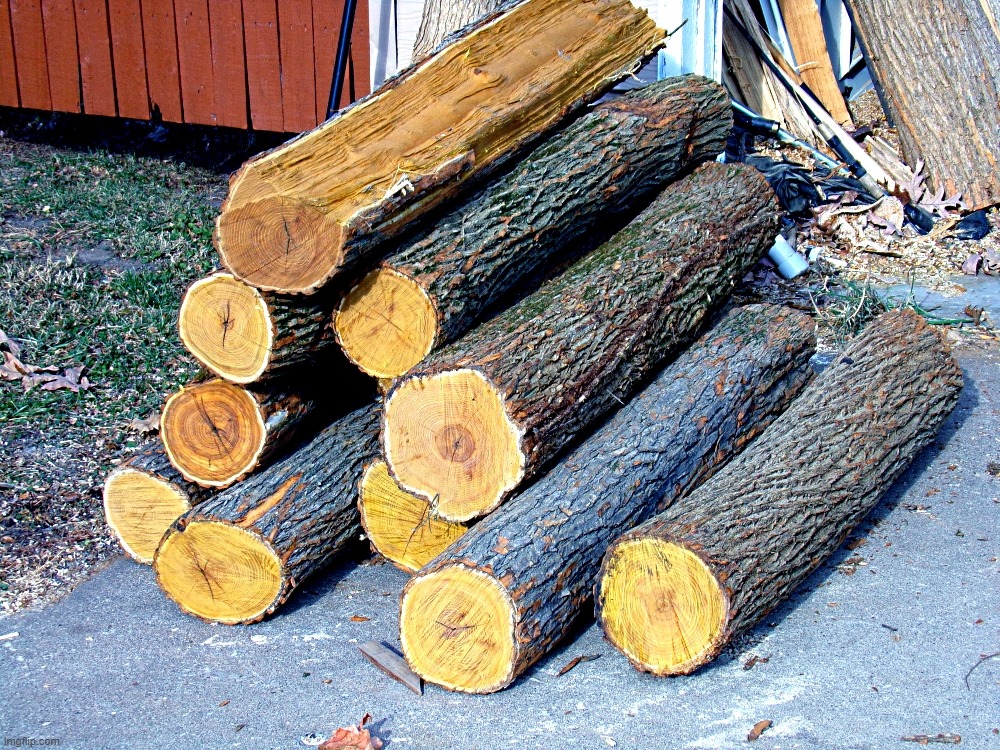 Osage orange logs for building bows | image tagged in osage orange,kewlew | made w/ Imgflip meme maker