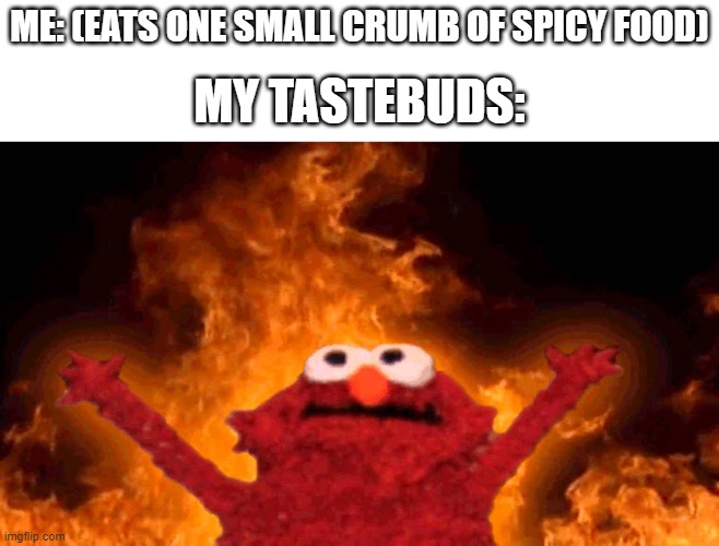 Those spices are way too powerful | ME: (EATS ONE SMALL CRUMB OF SPICY FOOD); MY TASTEBUDS: | image tagged in elmo fire,spicy food,fire | made w/ Imgflip meme maker