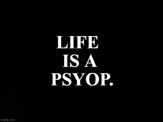 life is a psyop | LIFE 
IS A
 PSYOP. | image tagged in blck | made w/ Imgflip meme maker