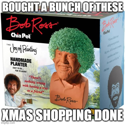 ch ch ch chia | BOUGHT A BUNCH OF THESE; XMAS SHOPPING DONE | image tagged in memes | made w/ Imgflip meme maker