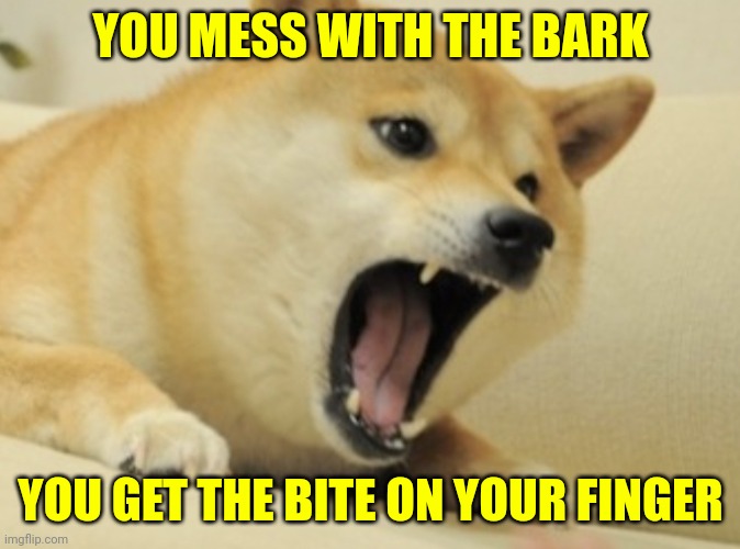 Doge bark | YOU MESS WITH THE BARK YOU GET THE BITE ON YOUR FINGER | image tagged in doge bark | made w/ Imgflip meme maker