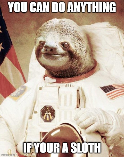 Astronaut Sloth | YOU CAN DO ANYTHING; IF YOUR A SLOTH | image tagged in astronaut sloth | made w/ Imgflip meme maker