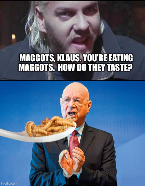 MAGGOTS, KLAUS. YOU’RE EATING MAGGOTS.  HOW DO THEY TASTE? | image tagged in political meme | made w/ Imgflip meme maker