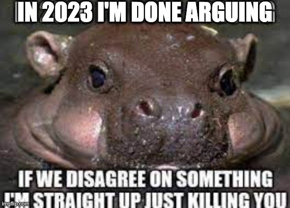 idk | IN 2023 I'M DONE ARGUING | image tagged in if we disagree | made w/ Imgflip meme maker