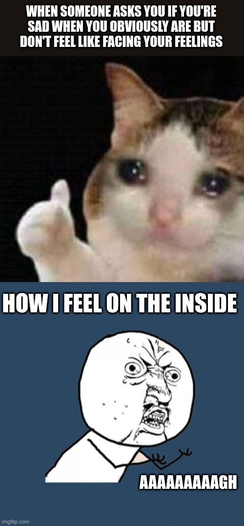 WHEN SOMEONE ASKS YOU IF YOU'RE SAD WHEN YOU OBVIOUSLY ARE BUT DON'T FEEL LIKE FACING YOUR FEELINGS; HOW I FEEL ON THE INSIDE; AAAAAAAAAGH | image tagged in approved crying cat | made w/ Imgflip meme maker