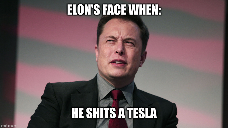 seriously how do you think electric cars are made | ELON'S FACE WHEN:; HE SHITS A TESLA | image tagged in confused elon musk | made w/ Imgflip meme maker