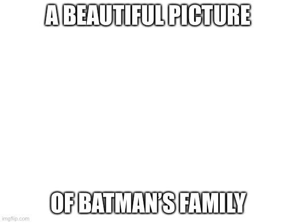 A BEAUTIFUL PICTURE; OF BATMAN’S FAMILY | made w/ Imgflip meme maker