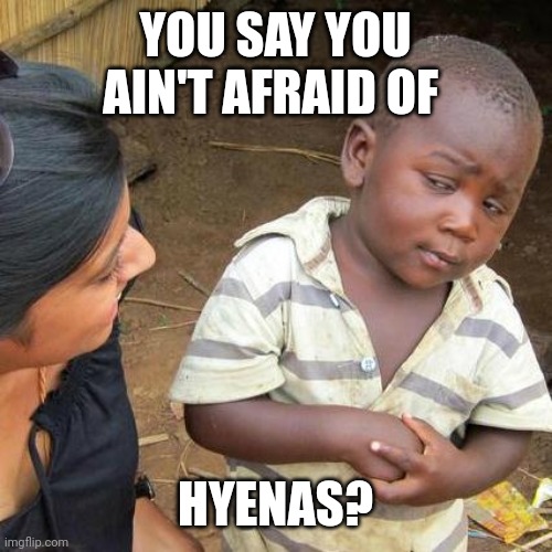 Third World Skeptical Kid Meme | YOU SAY YOU AIN'T AFRAID OF; HYENAS? | image tagged in memes,third world skeptical kid | made w/ Imgflip meme maker