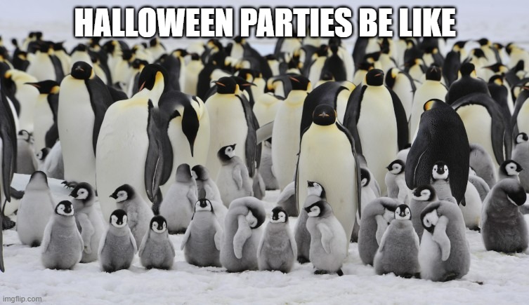 HALLOWEEN PARTIES BE LIKE | image tagged in penguins | made w/ Imgflip meme maker
