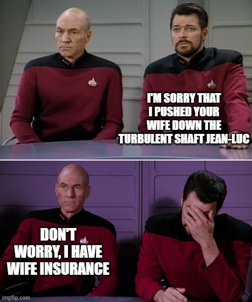 Picard Riker listening to a pun | I'M SORRY THAT I PUSHED YOUR WIFE DOWN THE TURBULENT SHAFT JEAN-LUC; DON'T WORRY, I HAVE WIFE INSURANCE | image tagged in picard riker listening to a pun | made w/ Imgflip meme maker