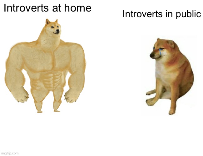 Introvert be like | Introverts in public; Introverts at home | image tagged in memes,buff doge vs cheems | made w/ Imgflip meme maker