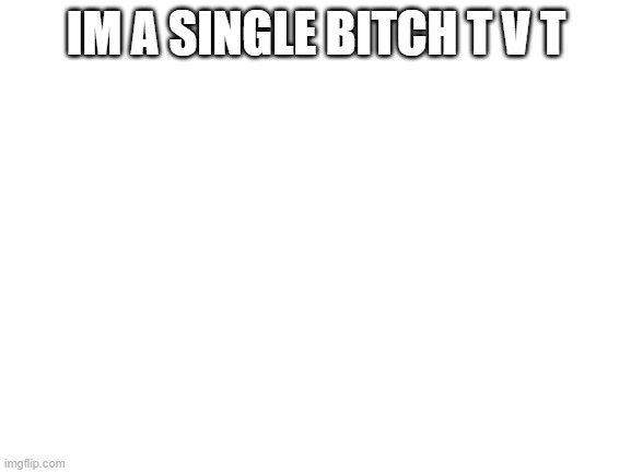 im single... | IM A SINGLE BITCH T V T | image tagged in blank white template,idk | made w/ Imgflip meme maker
