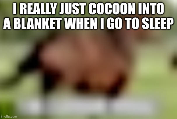 extremely low quality horse | I REALLY JUST COCOON INTO A BLANKET WHEN I GO TO SLEEP | image tagged in extremely low quality horse | made w/ Imgflip meme maker