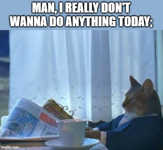 I Should Buy A Boat Cat | MAN, I REALLY DON'T WANNA DO ANYTHING TODAY; | image tagged in memes,i should buy a boat cat | made w/ Imgflip meme maker