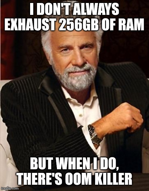 i don't always | I DON'T ALWAYS EXHAUST 256GB OF RAM; BUT WHEN I DO, THERE'S OOM KILLER | image tagged in i don't always | made w/ Imgflip meme maker